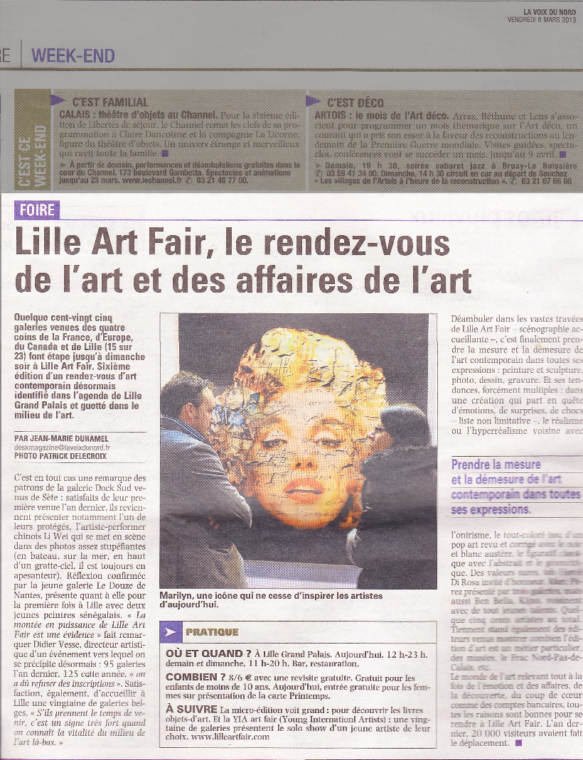 lavoixdunord-lilleartfair2013