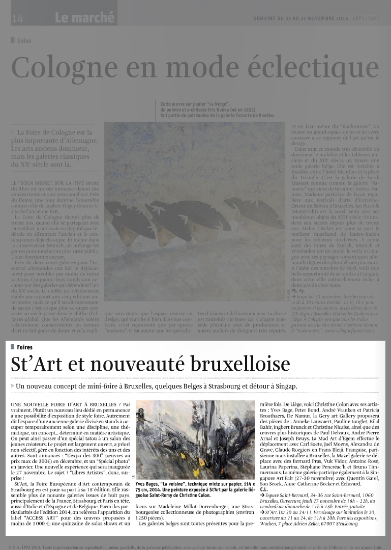 zoom_-_art_libre_nov_2014