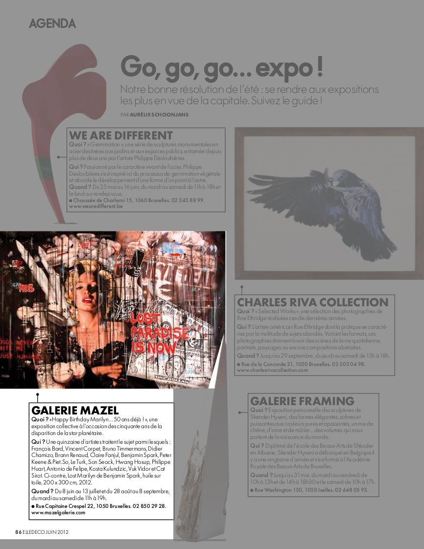 elle_deco_special_belgique_juin_2012-zoom