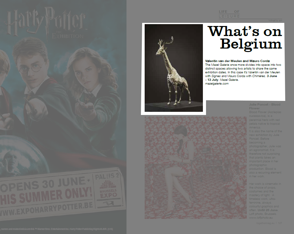 mazel_together-detail