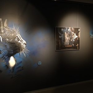 14695347_10154587329899536_6212061251004915666_n