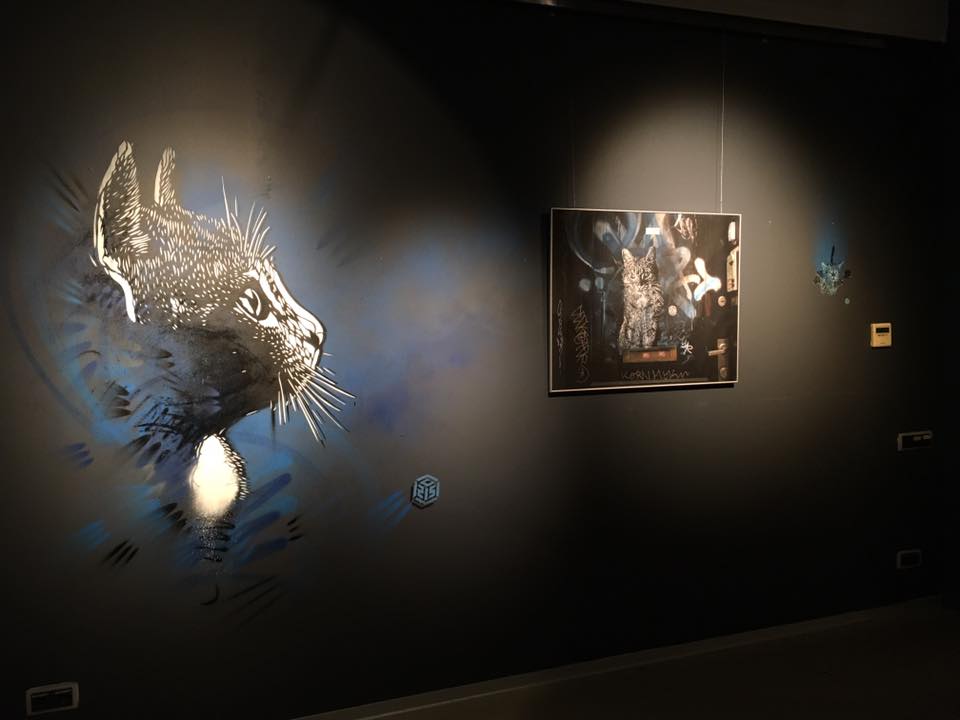 14695347_10154587329899536_6212061251004915666_n