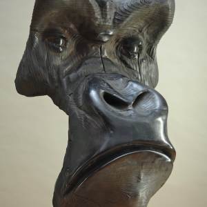 gorille_v_bronze-gros_plan-web