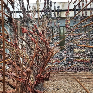 capture_decran_2018-02-21_a_15