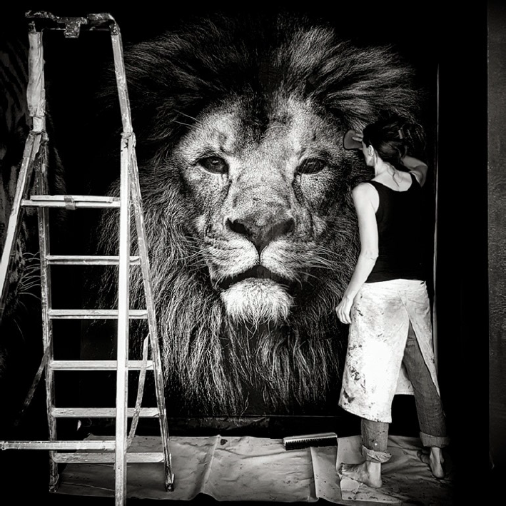 40337188_10155973436321886_6167144601183322112_n