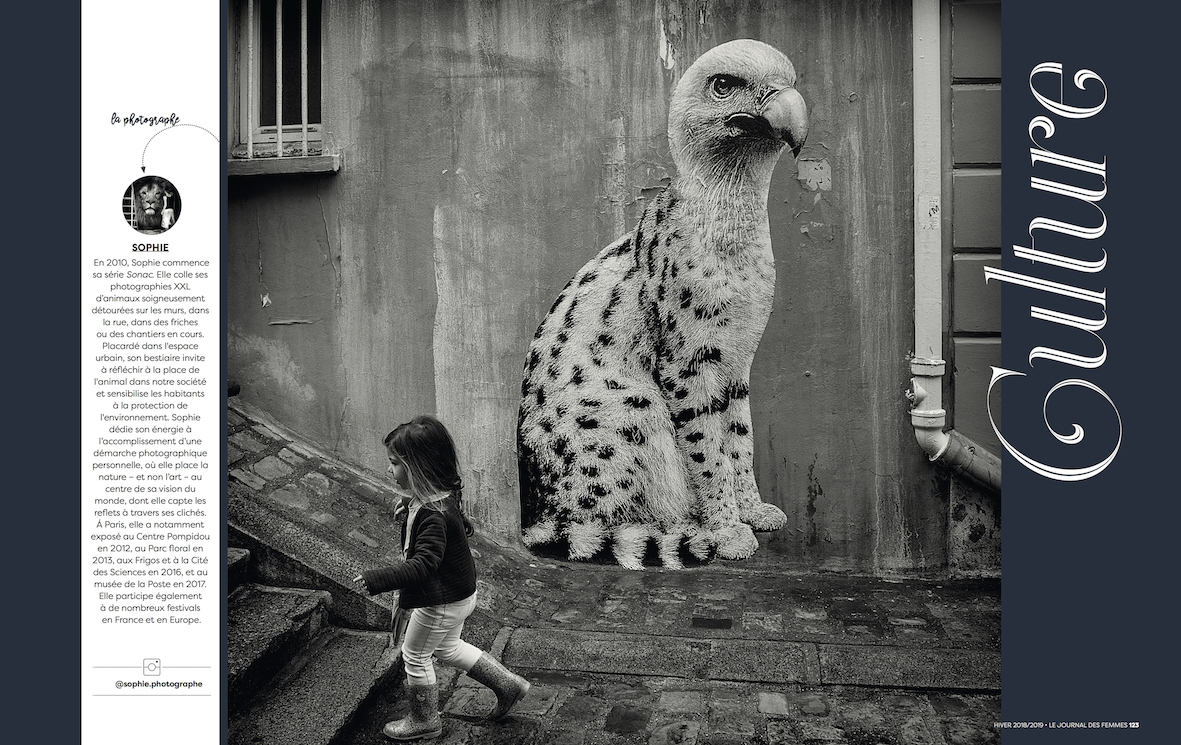 zoom-journaldesfemmes