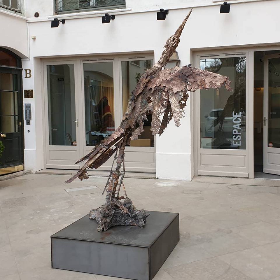 55865297_10157424192198643_5358658896527360_n