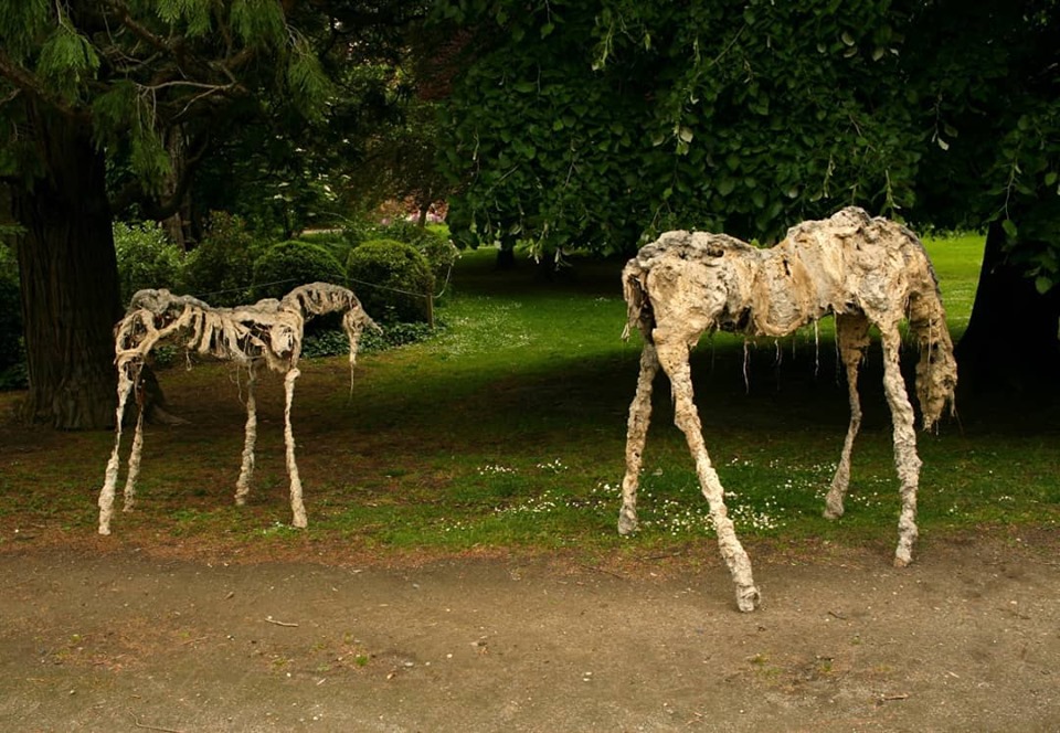 61872670_10157606246503643_1511304149994569728_n