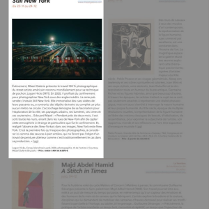 zoom-collect-stillnewyork