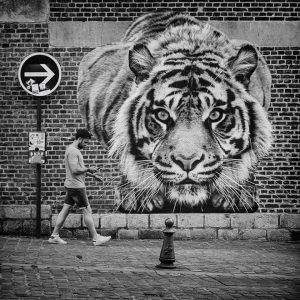 283845544_1568337040234583_579356423184373445_n