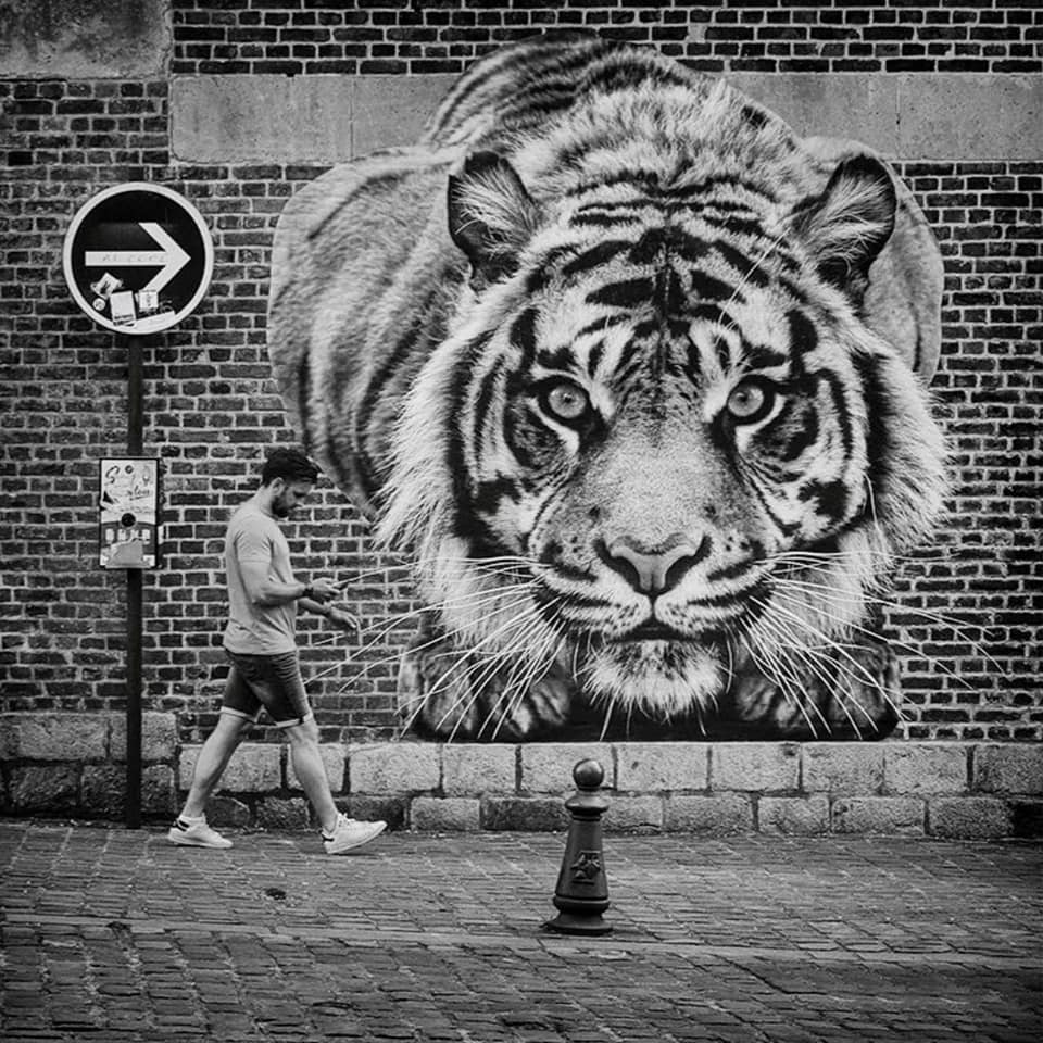 283845544_1568337040234583_579356423184373445_n