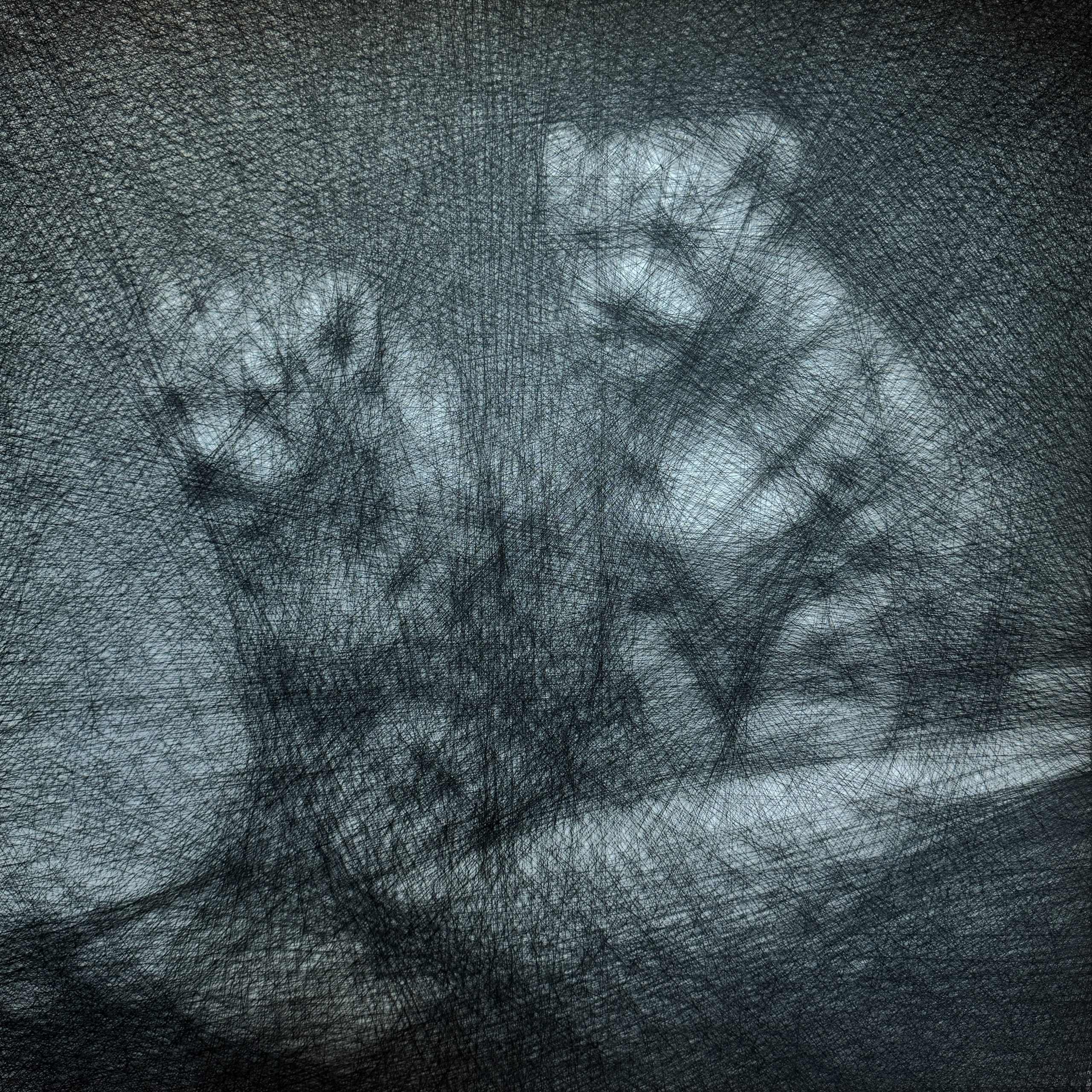 Baby snow leopards – Mazel Galerie