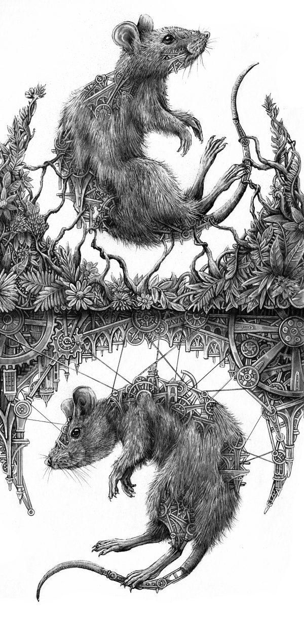 Rat des villes, rat des champs