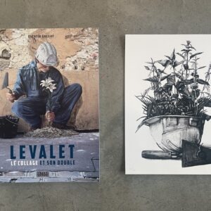 Livre "le collage et son double" + Print